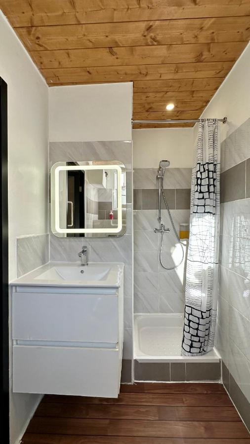 Lion'S Room - 2 Minute Walk From Palais Des Festivals And Beaches Cannes Exterior photo